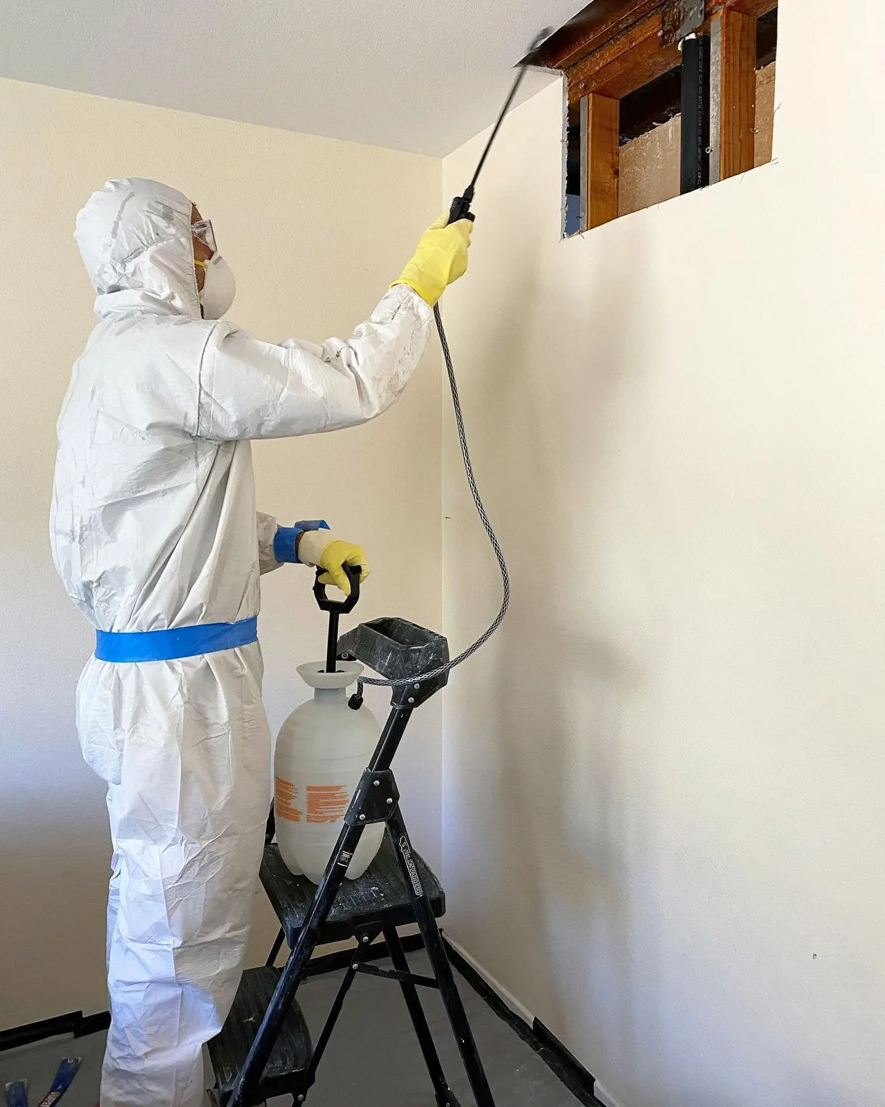 Water damage moisture inspection and mitigation assessment in Los Angeles